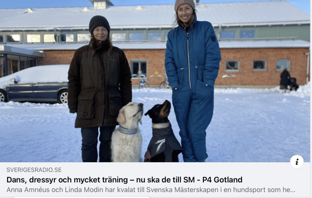 Anna Amnéus Kompis positiv hundträning hundkurser på Gotland